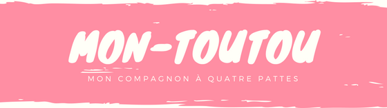 MON-TOUTOU